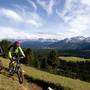 Mountain Bike in Val d'Ega 1
