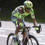 Alberto Contador dopo la caduta (foto cyclingnews)