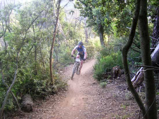 21 ancora nel bosco