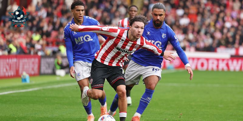 Tổng quan thông tin của hai đội Watford Vs Crawley Town